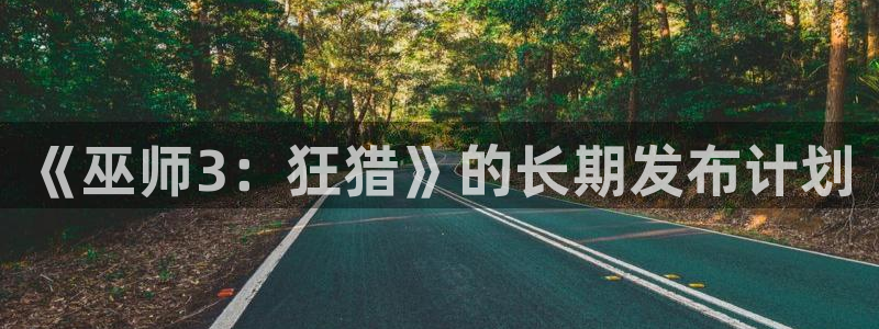 亿万28的所有小说：《巫师3：狂猎》的长期发布计划