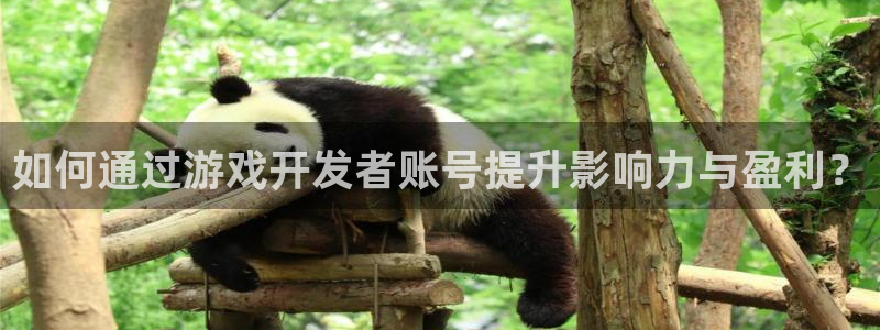 亿万28智邦(北京)品牌策划有限公司：如何通过游戏开发者账号提升影响力与盈利？