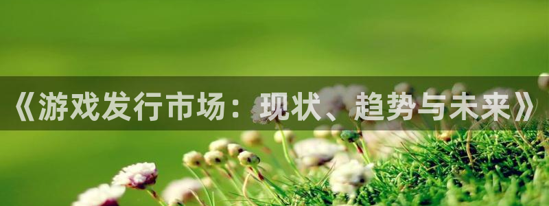亿万28官网官网注册账号怎么注册：《游戏发行市场：现状、趋势与未来》