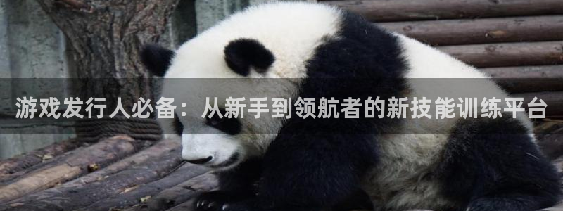 陕西亿万28子文化公司加我qq：游戏发行人必备：从新手到领航者的新技能训练平台