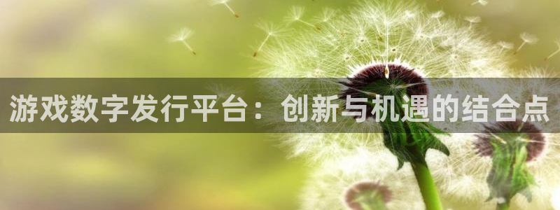 亿万28官网平台招商qq：游戏数字发行平台：创新与机遇的结合点