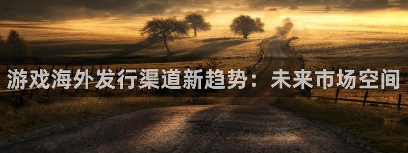 亿万28子 到底怎么样：游戏海外发行渠道新趋势：未来市场空间