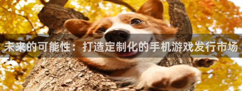 亿万28环境科技有限公司：未来的可能性：打造定制化的手机游戏发行市场