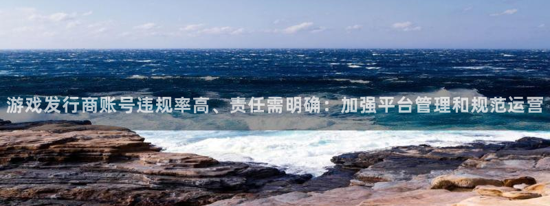 亿万28电子商务有限公司怎么样知乎：游戏发行商账号违规率高、责任需明确：加强平台管理和规范运营