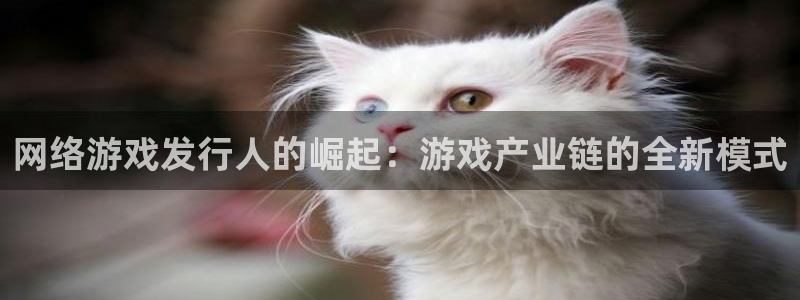 lvnces亿万28衣服价格：网络游戏发行人的崛起：游戏产业链的全新模式