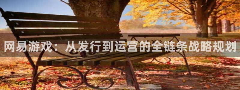 亿万28官网的奇趣腾讯是真的吗：网易游戏：从发行到运营的全链条战略规划