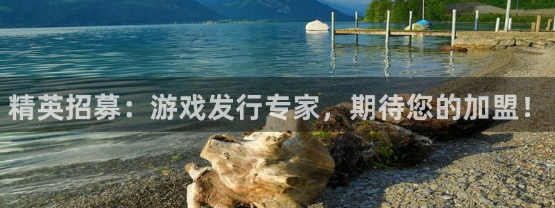 亿万28军团是哪个国家队