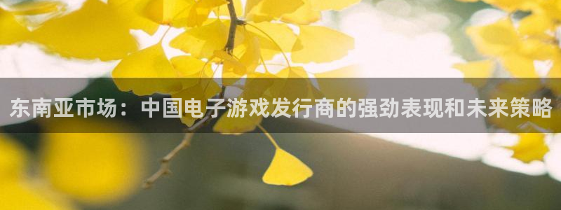 深圳市亿万28科技有限招聘公司