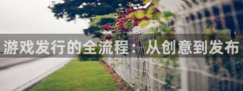 亿万28官网平台注册账号注意事项：游戏发行的全流程：从创意到发布