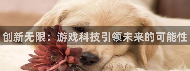 亿万28官网平台合法吗