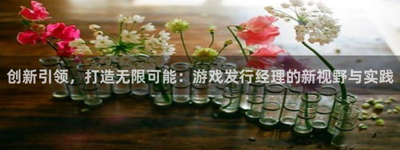 亿万28官网是赌博么：创新引领，打造无限可能：游戏发行经理的新视野与实践