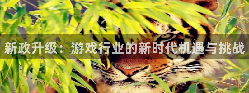 江苏亿万28智得新材料：新政升级：游戏行业的新时代机遇与挑战
