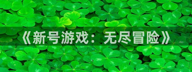 亿万28官网登录注册账号是什么意思：《新号游戏：无尽冒险》