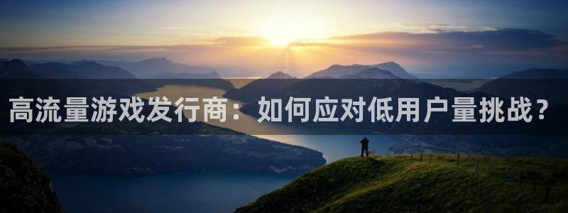 东莞亿万28信息科技有限公司：高流量游戏发行商：如何应对低用户量挑战？