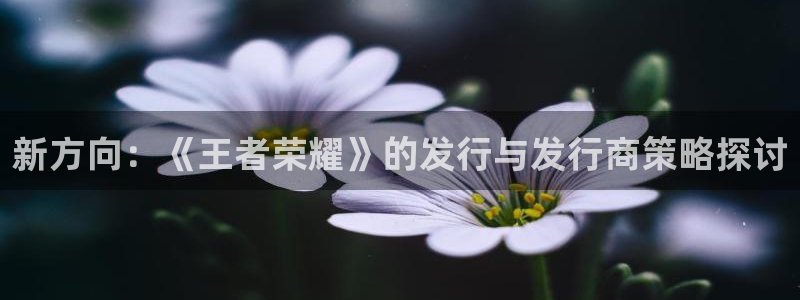 亿万28烟照片：新方向：《王者荣耀》的发行与发行商策略探讨