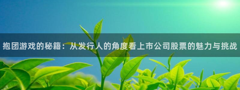 亿万28官网游戏平台介绍：抱团游戏的秘籍：从发行人的角度看上市公司股票的魅力与挑战