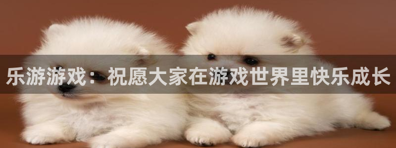 亿万28集团：乐游游戏：祝愿大家在游戏世界里快乐成长