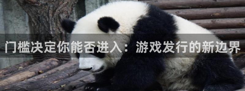 亿万28子文化创意做什么的：门槛决定你能否进入：游戏发行的新边界