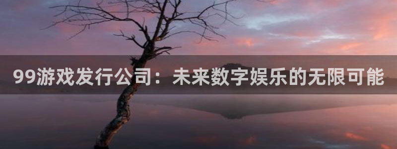 亿万28官网注册平台怎么样可靠吗：99游戏发行公司：未来数字娱乐的无限可能
